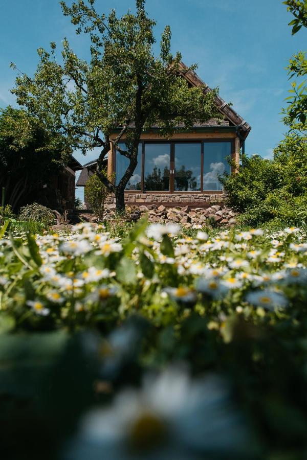 Cselling Udvarhaz Révfülöp Exterior foto